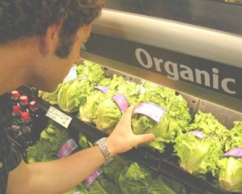 Produsele eco se ieftinesc cu 13%